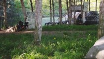 1e38a5266702f3341c7ebee4c960b80a WAPIENNIKI 05.05.2018 - Imprezy integracyjne, Pikniki dla Firm, Paintball, Wieczory kawalerskie, Imprezy integracyjne Częstochowa, Bełchatów, Łódź.