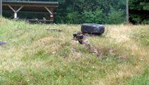 5c5f5eac5c92d147f739e00946ddc2f0 PAINTBALL WAPIENNIKI - Imprezy integracyjne, Pikniki dla Firm, Paintball, Wieczory kawalerskie, Imprezy integracyjne Częstochowa, Bełchatów, Łódź.