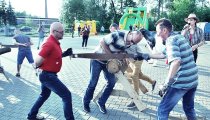 7850fa0dc339f94e2e8d1500e257afbe 01.06.2019 Konstantynów Łódzki - Imprezy integracyjne, Pikniki dla Firm, Paintball, Wieczory kawalerskie, Imprezy integracyjne Częstochowa, Bełchatów, Łódź.