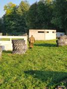 paintball-Piotrkow-Trybunalski