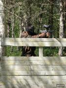 IMG-20250507-WA0011