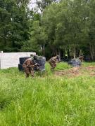 IMG4931