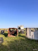 IMG4878