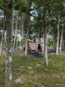 IMG4782