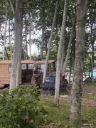IMG4798