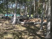IMG6768