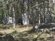 IMG6775