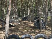 IMG6785