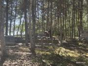 IMG6801