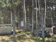 IMG6849