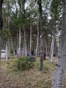 IMG4955