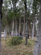 IMG4956
