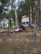 IMG5196