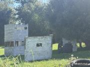 IMG7817