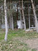 IMG5933