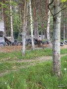 IMG6298