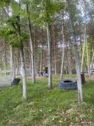 IMG6372