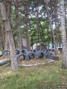 IMG6591