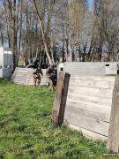 IMG20260419120952