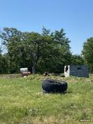 IMG6681