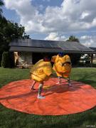 IMG3589