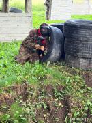 IMG-20260905-WA0006