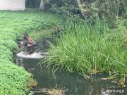 IMG-20260905-WA0072